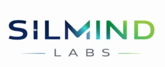 silmind labs logo temporal